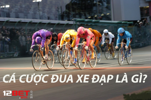 Cá cược đua xe đạp 12Bet