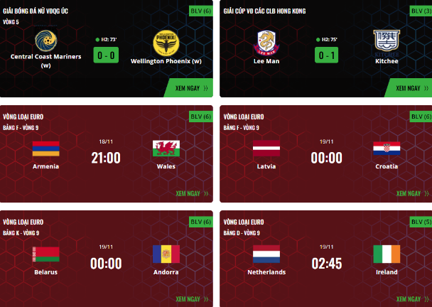 Xem link bóng đá trực tuyến Vaoroi TV