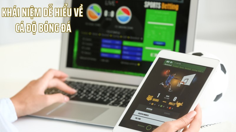 Tìm hiểu cá độ bóng đá là gì?